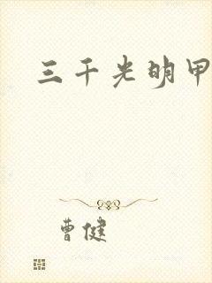 三千光明甲