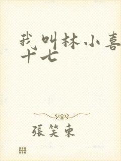 我叫林小喜今年十七