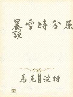 暴雪时分原著小说