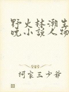 野火林潮生林晚晚小说人物野火