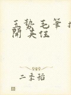 玉势 毛笔 撑开 夹住