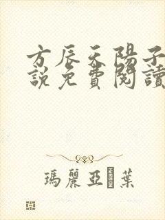 方辰天阳子的小说免费阅读