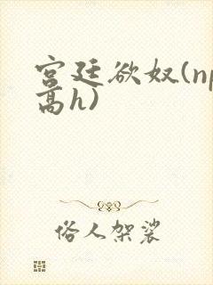 宫廷欲奴(np高h)