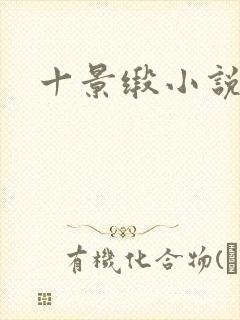 十景缎小说