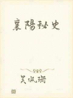 襄阳秘史