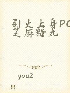 引火上身POP芝麻糖丸