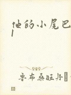他的小尾巴1v1