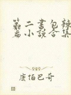 第二书包辣网短篇小说合集