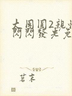 大团圆2亲情会闪闪发光免费