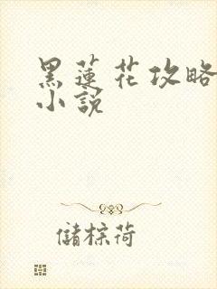黑莲花攻略手册小说