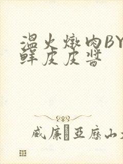 温火炖肉BY海鲜皮皮酱