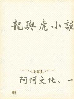 龙与虎小说