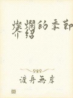 灿烂的季节剧情介绍