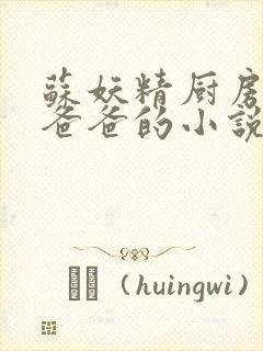 苏妖精厨房爹爹爸爸的小说