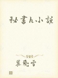 秘书h小说