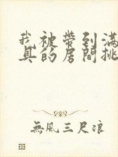 我被带到满是玩具的房间挑调游戏