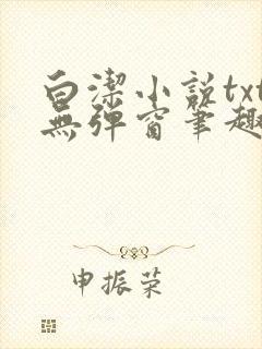 白洁小说txt无弹窗笔趣阁