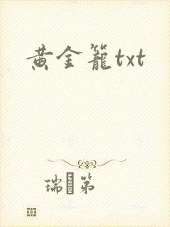黄金笼txt