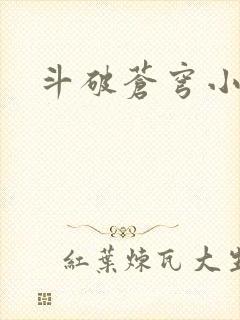 斗破苍穹小说