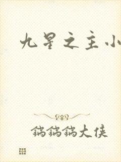 九星之主小说