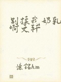 别揉我奶乳嗯～啊文轩