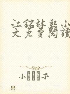 江铭林熙小说全文免费阅读