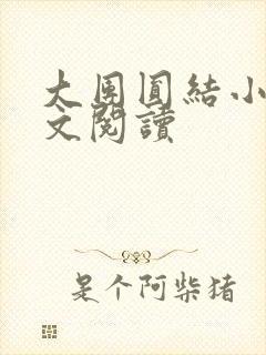 大团圆结小茹全文阅读