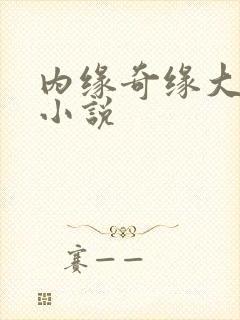 内缘奇缘大团圆小说