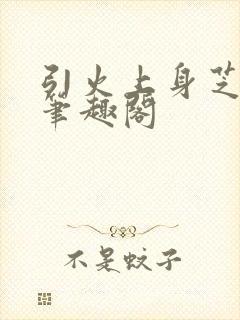 引火上身芝麻糖笔趣阁