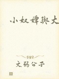 小奴婢与大少爷