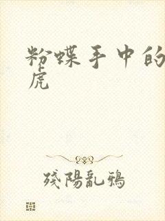 粉蝶手中的纸老虎