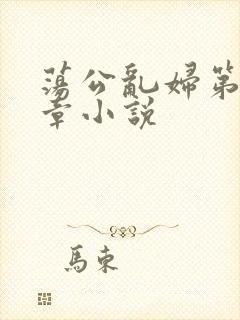 荡公乱妇第51章小说