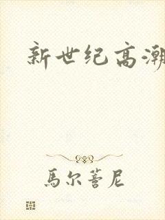 新世纪高潮战队