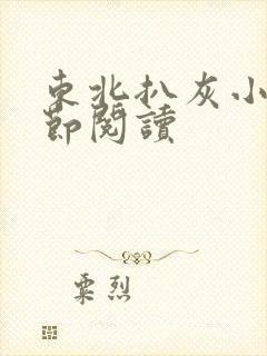 东北扒灰小说分节阅读