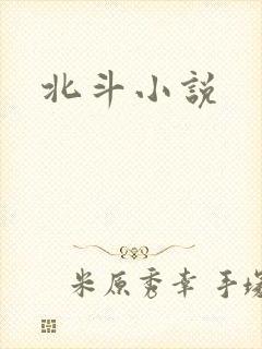 北斗小说
