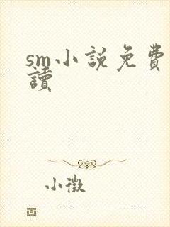 sm小说免费阅读