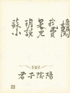 苏玥是我媳妇的小说免费阅读全文