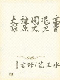 大被同眠高粱小说原文免费阅读