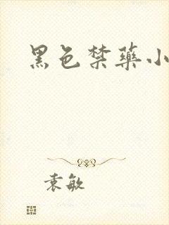 黑色禁药小说
