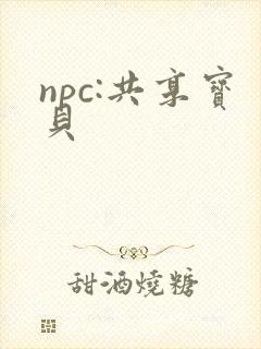 npc:共享宝贝