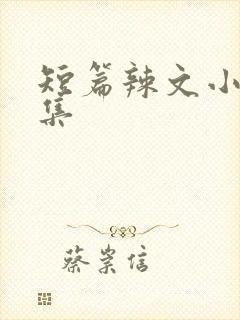 短篇辣文小说合集