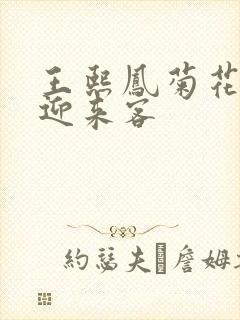 王熙凤菊花门初迎来客