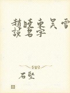 赵晓东吴雪晴小说名字