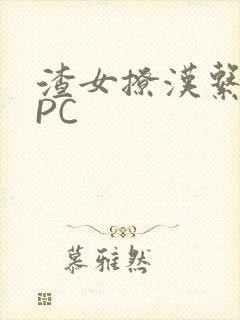 渣女撩汉系统NPC