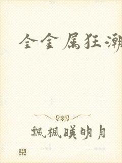 全金属狂潮小说