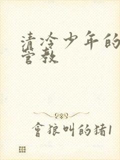 清冷少年的严厉管教