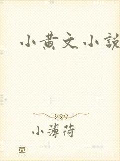 小黄文小说