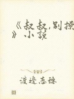 《叔叔,别撩我》小说