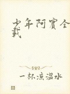 少年阿宾全集下载