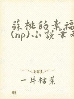 苏桃的幸福生活(np)小说笔趣阁